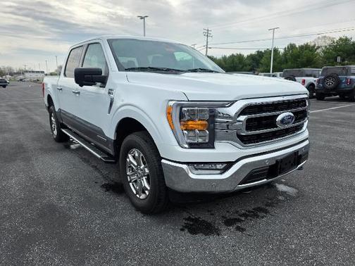 OXFORD WHITE 2023 Ford F-150 XLT