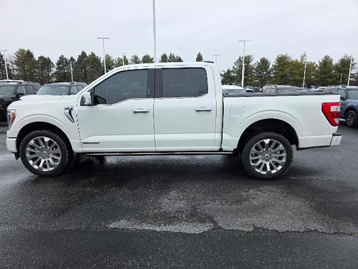 2023 Ford F-150 LIMITED