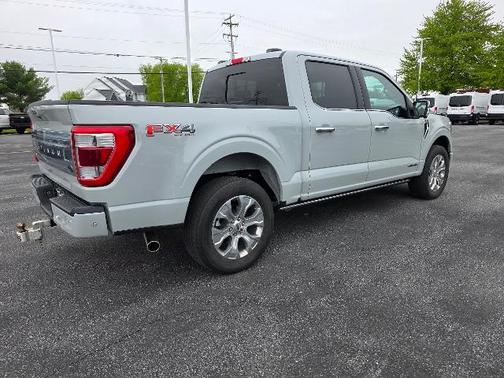 AVALANCHE 2023 Ford F-150 PLATINUM