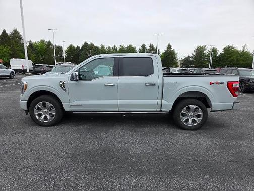AVALANCHE 2023 Ford F-150 PLATINUM