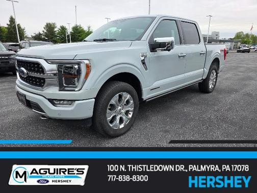 AVALANCHE 2023 Ford F-150 PLATINUM