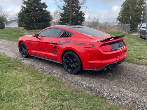 2019 Ford Mustang GT