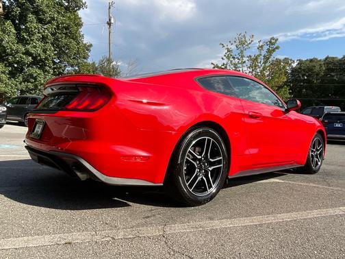 Race Red 2019 Ford Mustang EcoBoost