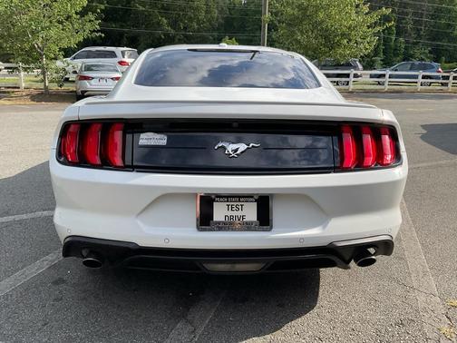 Oxford White 2019 Ford Mustang EcoBoost