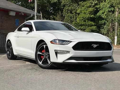Oxford White 2019 Ford Mustang EcoBoost