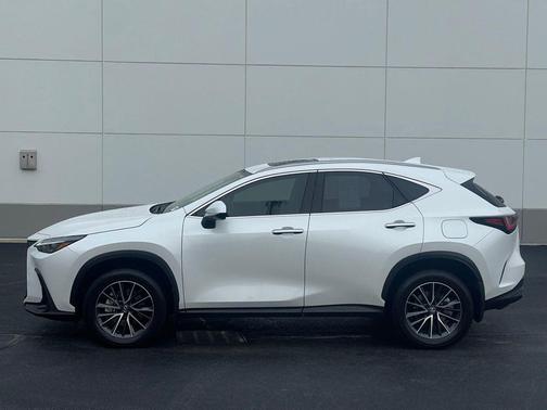 2025 Lexus NX 350h Premium