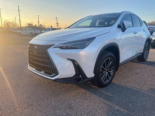 2025 Lexus NX 350h Premium