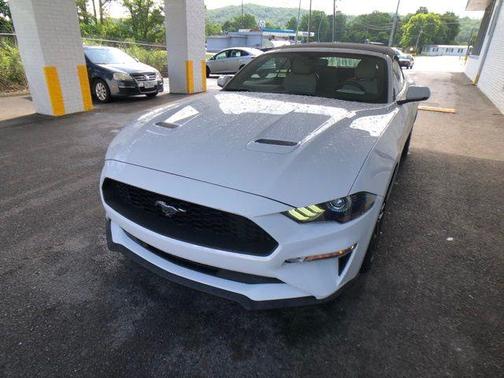 2019 Ford Mustang EcoBoost Premium