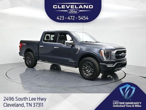 2021 Ford F-150 Platinum