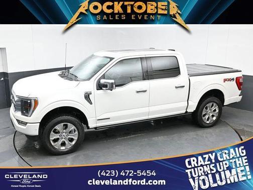 2021 Ford F-150 Platinum