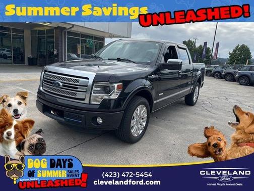 2013 Ford F-150 Platinum