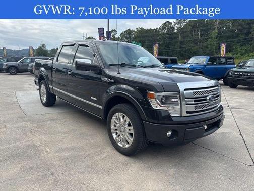2013 Ford F-150 Platinum