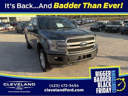 2019 Ford F-150 Platinum