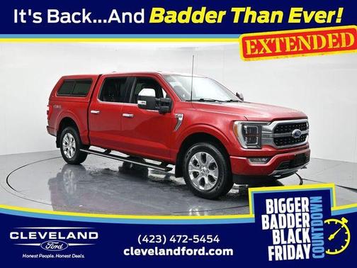 2022 Ford F-150 Platinum