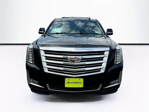 2019 Cadillac Escalade ESV Platinum