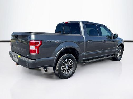 Magnetic 2019 Ford F-150 XLT