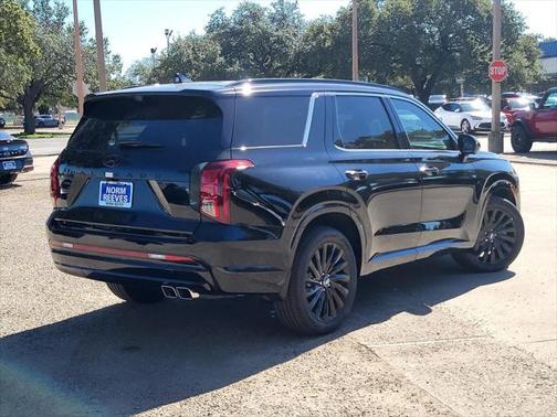 2025 Hyundai PALISADE Calligraphy Night Edition