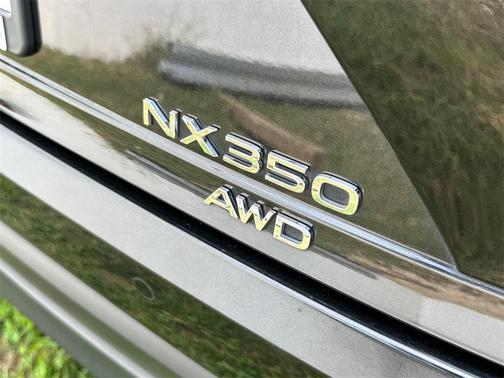 2025 Lexus NX 350 Premium