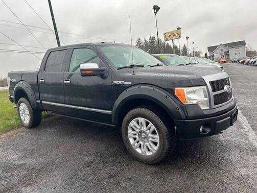 2009 Ford F-150 Platinum