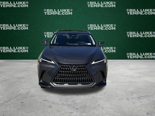 Cloudburst Gray 2023 Lexus NX 350 Premium