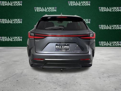 Cloudburst Gray 2023 Lexus NX 350 Premium