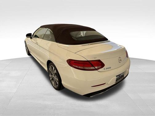 Polar White 2017 Mercedes-Benz C-Class C 300