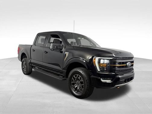 Agate Black Metallic 2023 Ford F-150 Tremor