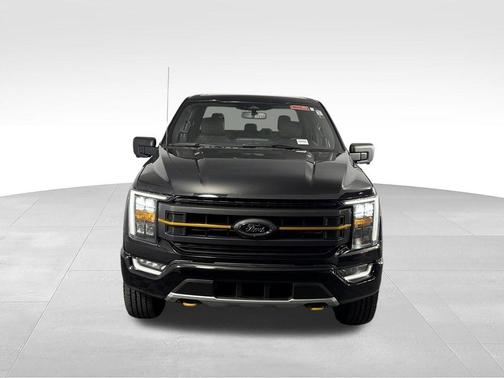Agate Black Metallic 2023 Ford F-150 Tremor