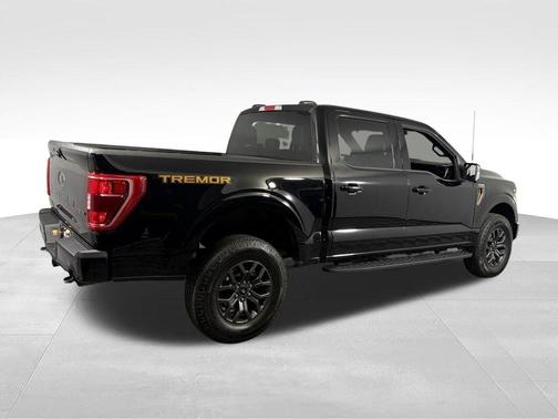 Agate Black Metallic 2023 Ford F-150 Tremor