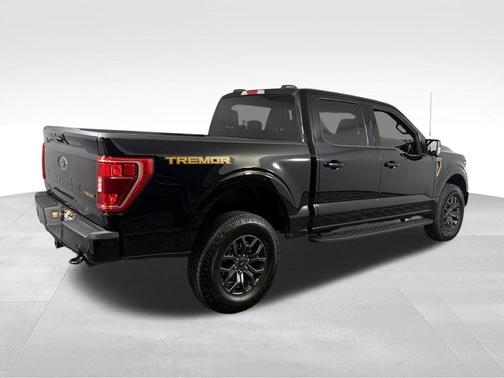 Agate Black Metallic 2023 Ford F-150 Tremor