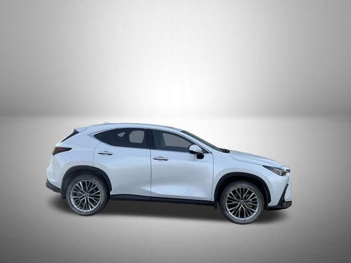 2025 Lexus NX 350h Premium