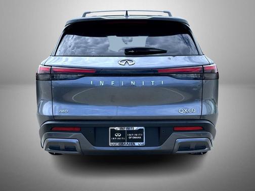 Graphite Shadow 2025 INFINITI QX60 SENSORY