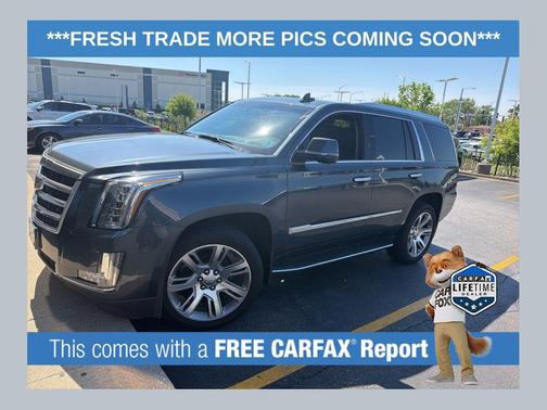 Shadow Metallic 2019 Cadillac Escalade Luxury