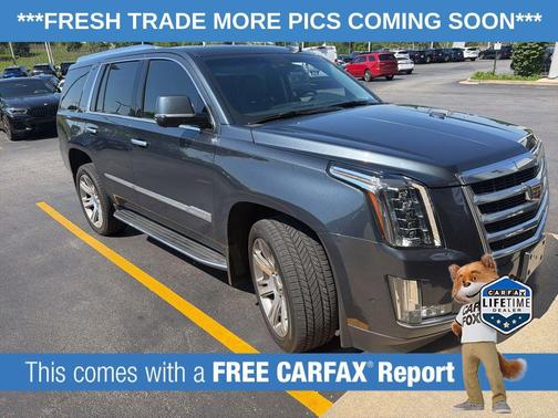 Shadow Metallic 2019 Cadillac Escalade Luxury