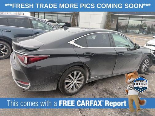 2020 Lexus ES 300h Base