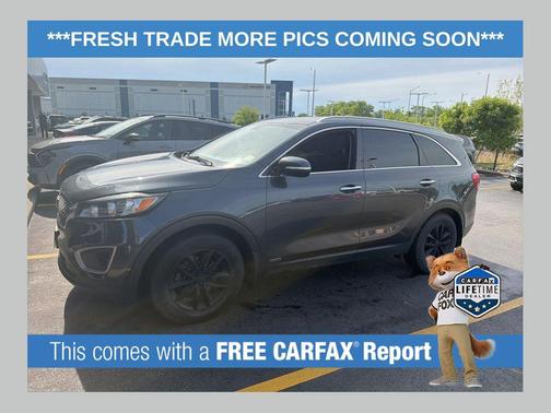 Platinum Graphite 2017 Kia Sorento LX