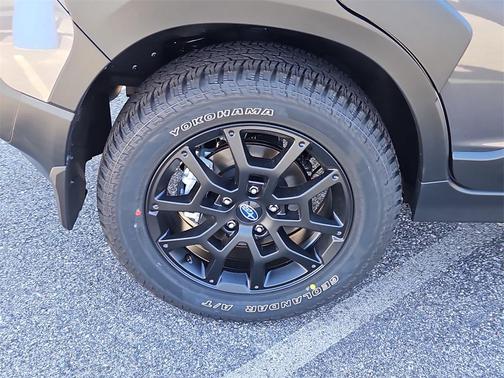 2025 Subaru Crosstrek Wilderness