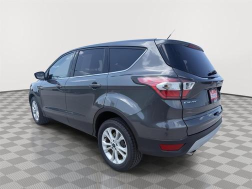 Magnetic 2017 Ford Escape SE