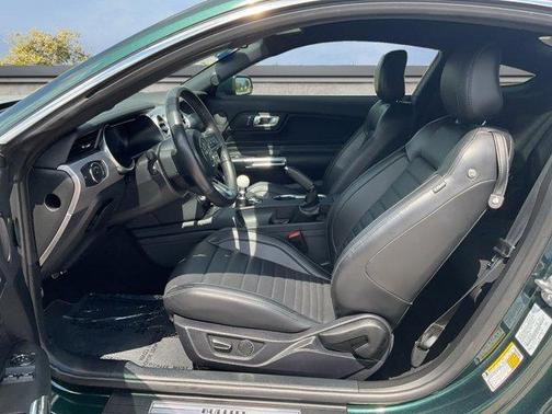 2019 Ford Mustang Bullitt