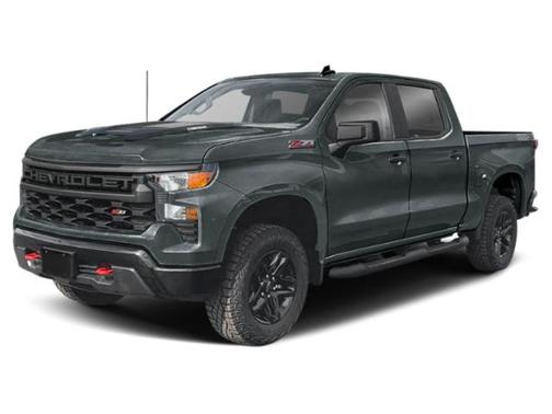 Cypress Gray 2025 Chevrolet Silverado 1500 Custom Trail Boss