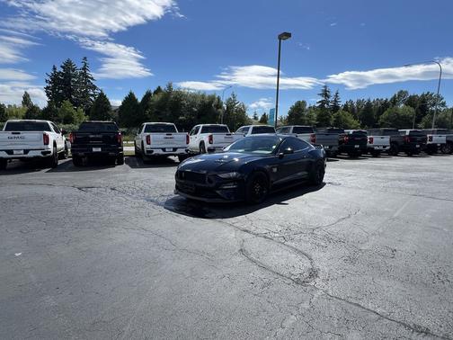 Shadow Black 2019 Ford Mustang GT