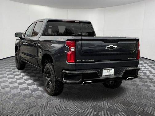 Gray 2021 Chevrolet Silverado 1500 Custom Trail Boss