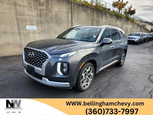 Rainforest 2022 Hyundai PALISADE Calligraphy