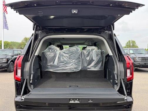 Agate Black Metallic 2027 Ford Expedition ACTIVE