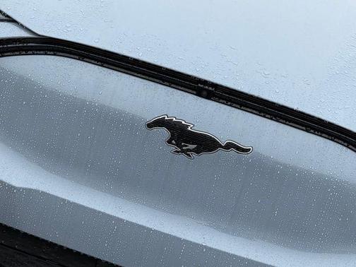 Glacier Gray Metallic 2026 Ford Mustang Mach-E Premium