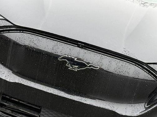 Shadow Black 2026 Ford Mustang Mach-E Premium