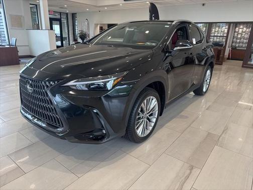 2025 Lexus NX 350 Premium