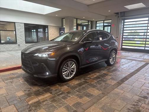 2025 Lexus NX 350 Premium