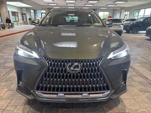 2025 Lexus NX 350 Premium
