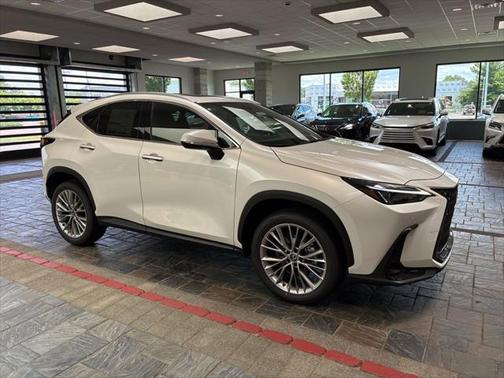 2025 Lexus NX 350 Premium
